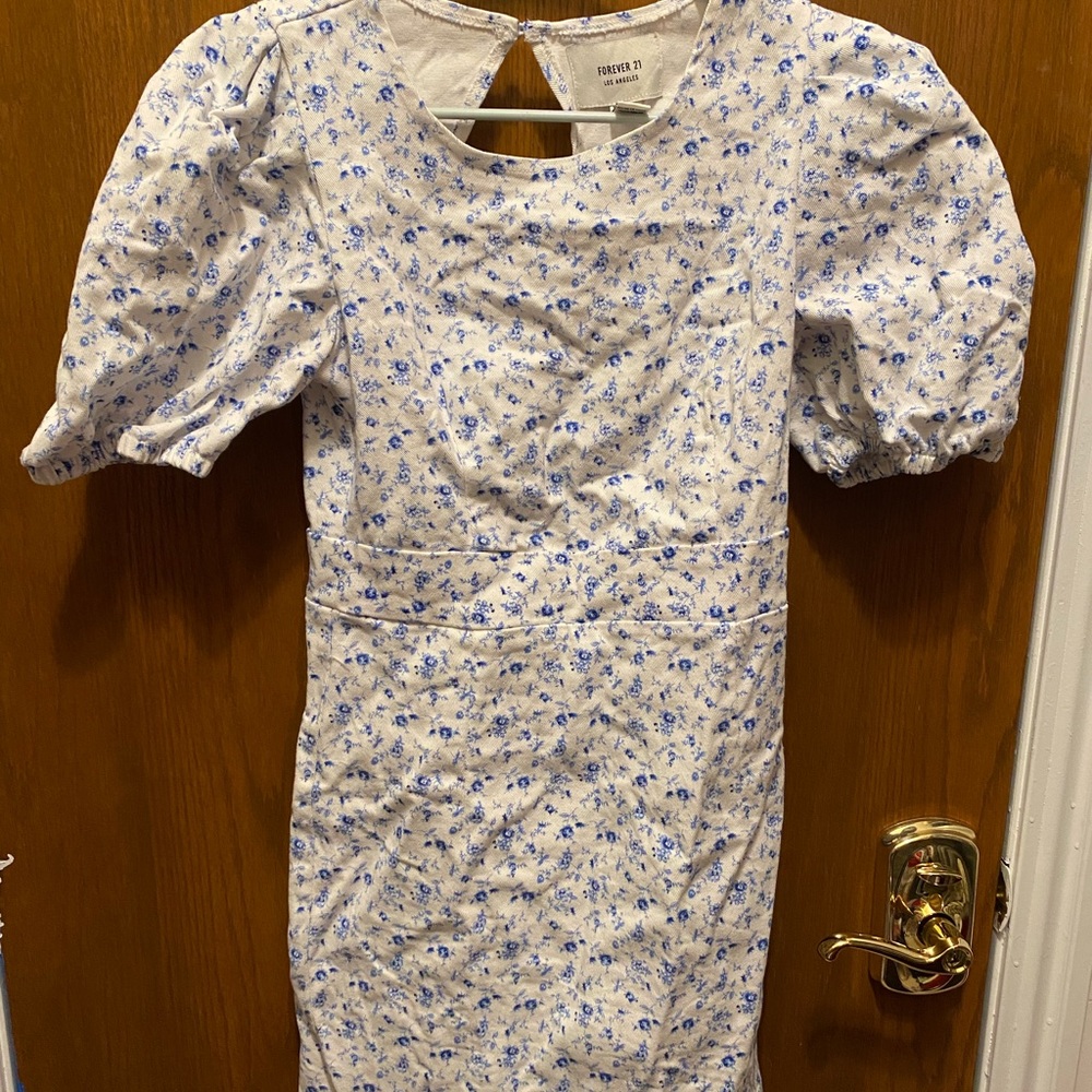 Forever 21 Blue and White Floral Sundress